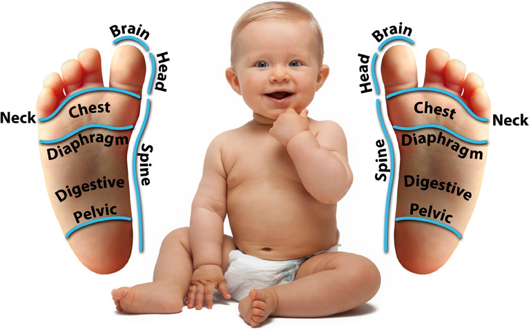 Baby Reflexology Chart